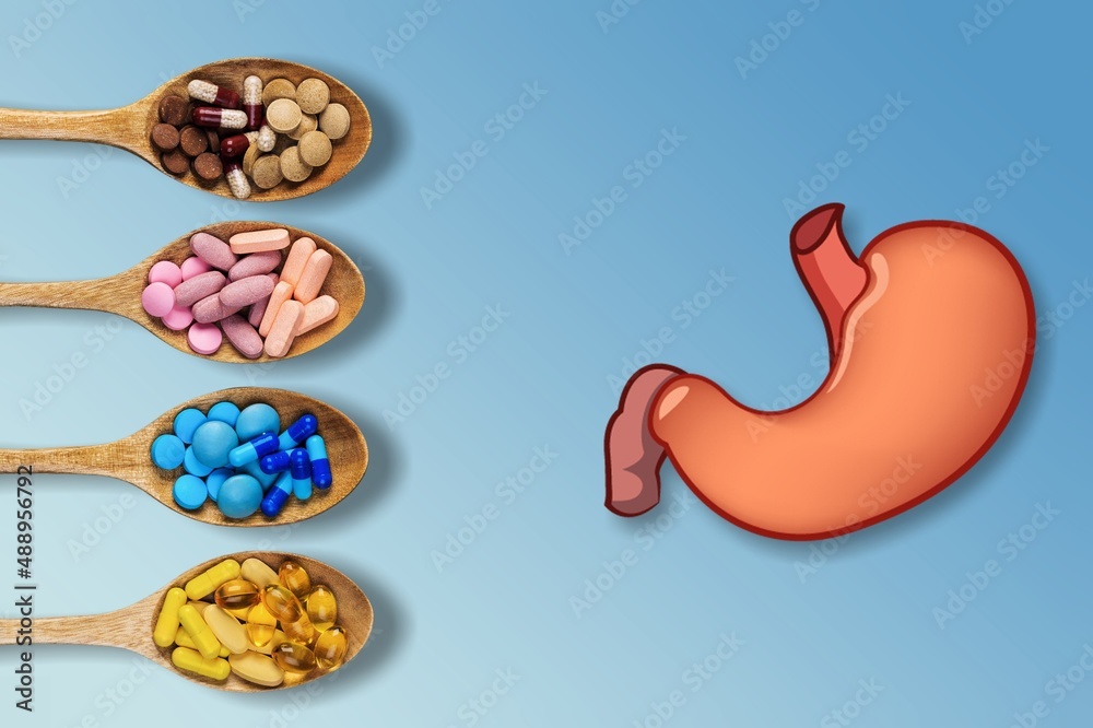 Intestine model with various nutritional supplements. Healthy digestion concept, probiotics and preb