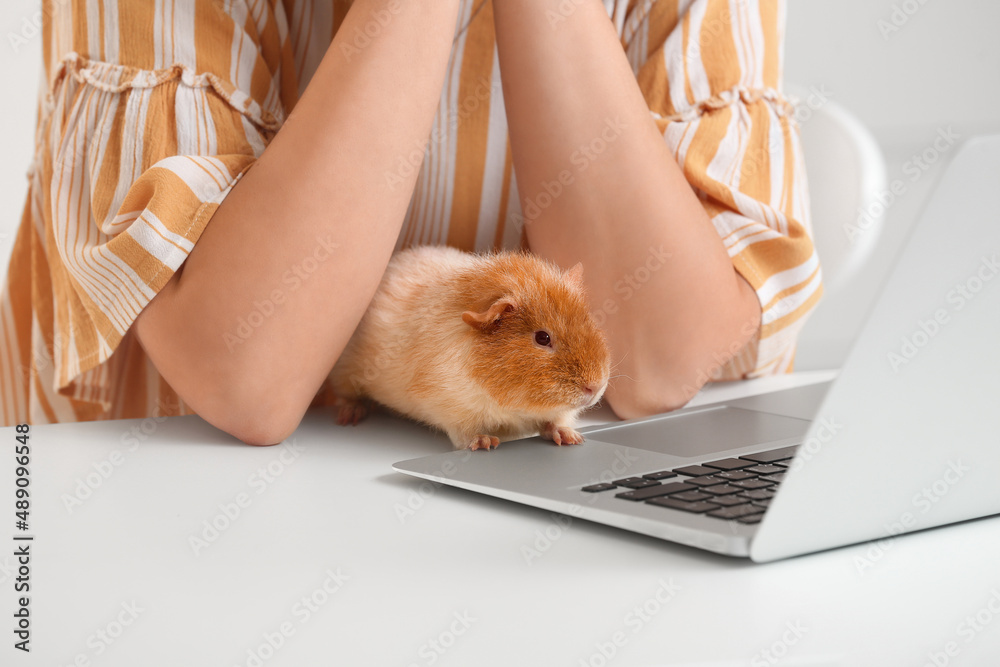 Beautiful young woman with cute guinea pig at home, closeup