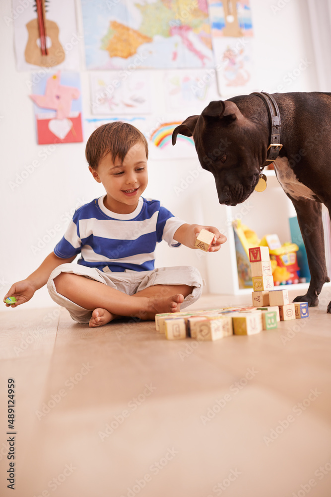 They love playing together. A young boy playing with building blocks in his room while his dog watch