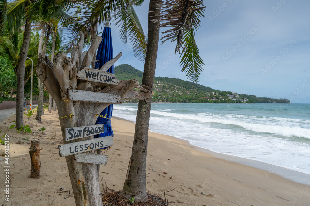 Phuket beach Summer beach with coconut palms trees around in Phuket island Thailand, Beautiful tropi