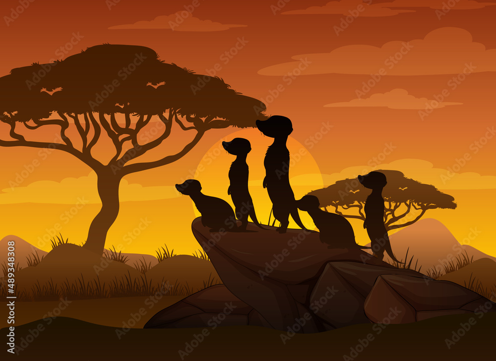 Meerkat family silhouette at savanna forest