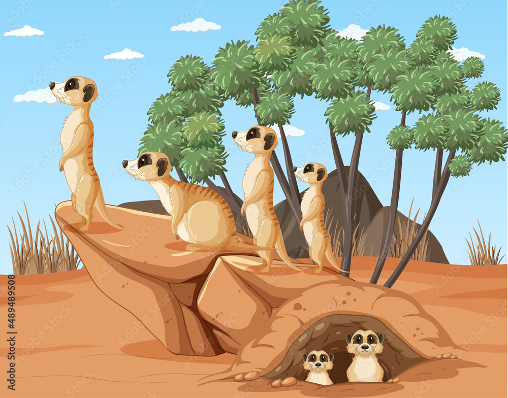 Desert background with a group of meerkats