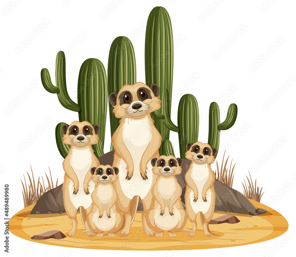 Isolated nature scene with meerkat family