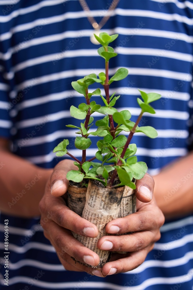 世界的希望在我的手掌心……一个年轻人拿着盆栽的裁剪镜头。