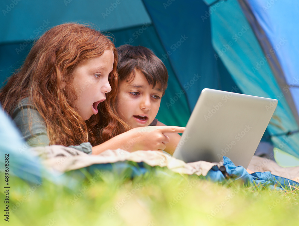 Accessing the web from the wilderness. A young brother and sister surfing the web while out camping.