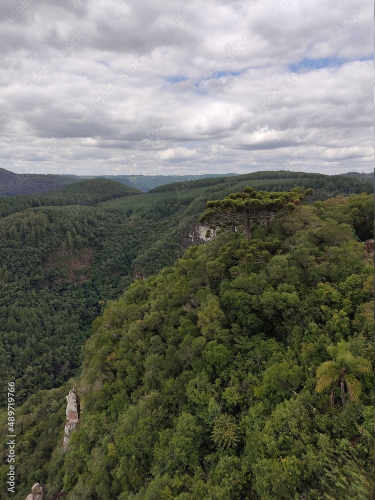 view from the mountain