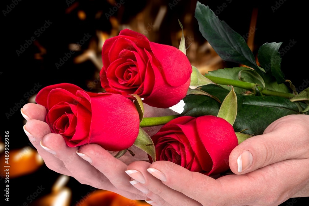 Bouquet of beautiful fresh bright red roses