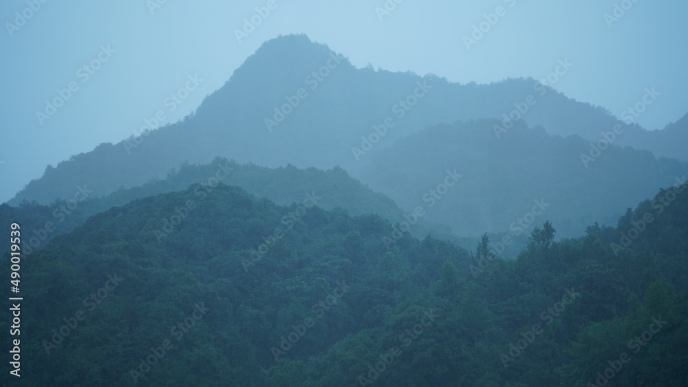 以绿色森林和小村庄为背景的美丽山脉景观