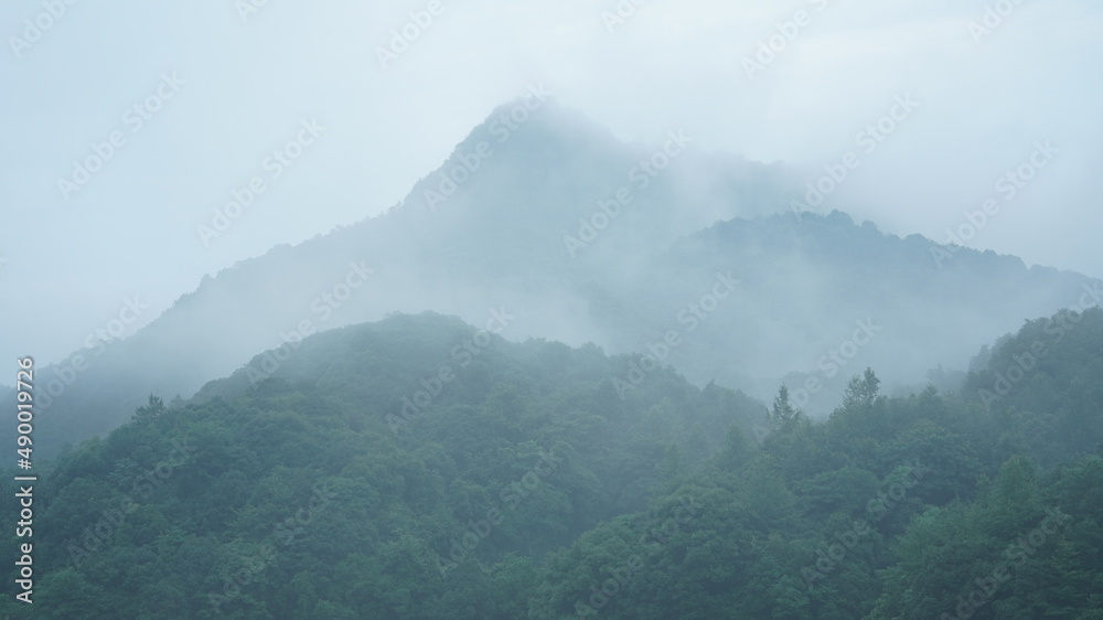 美国以绿色森林和小村庄为背景的美丽山区景观