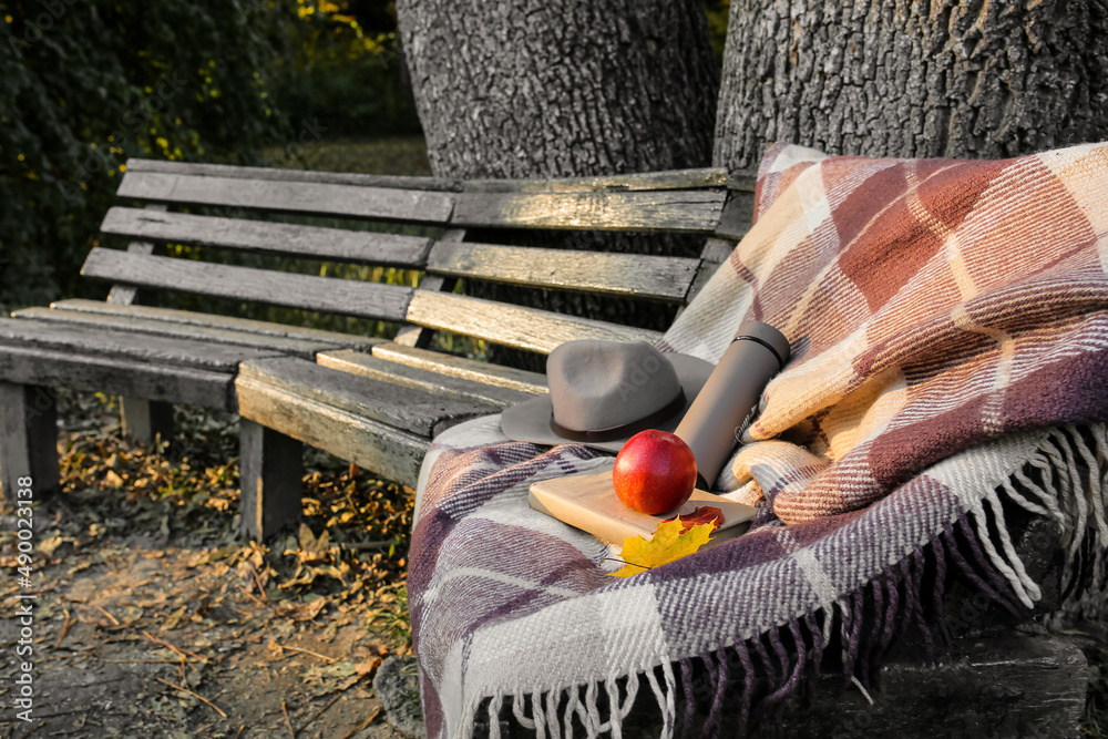 Plaid, thermos bottle, book and felt hat on wooden bench in park