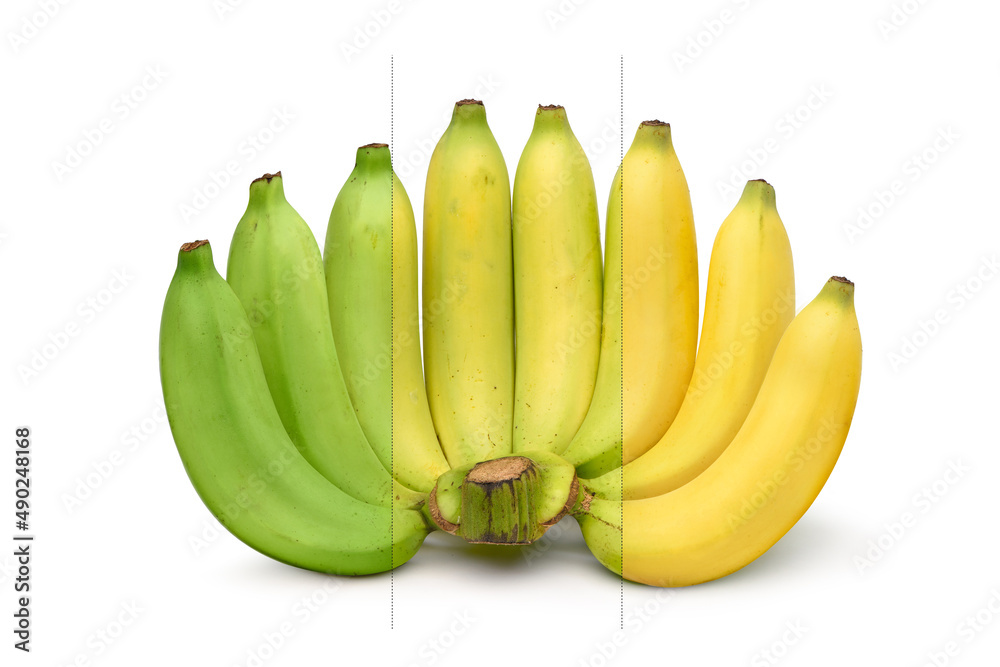 Ripening stages of banana isolated on white background.