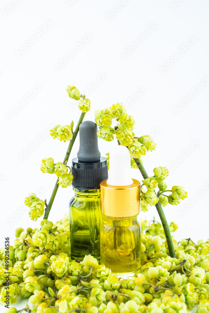 Ceratophyllum flowers and essential oils