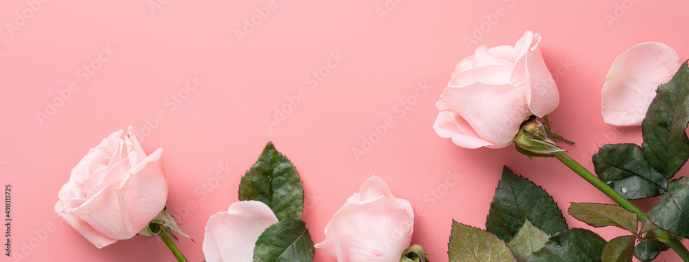 Mothers Day design concept background with pink rose flower on pink background.