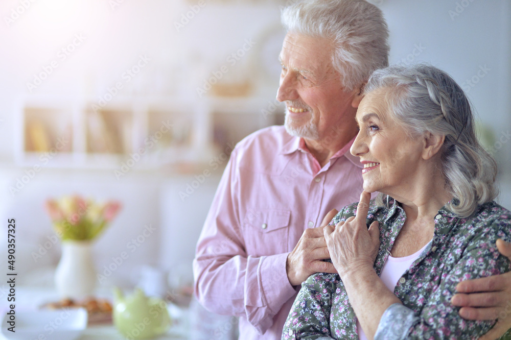 Portrait of happy beautiful senior couple posing at home