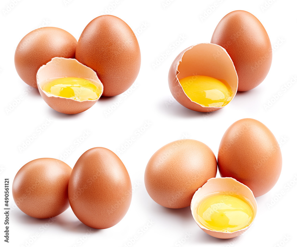 Eggs collection. Brown egg isolated on white background. Egg set