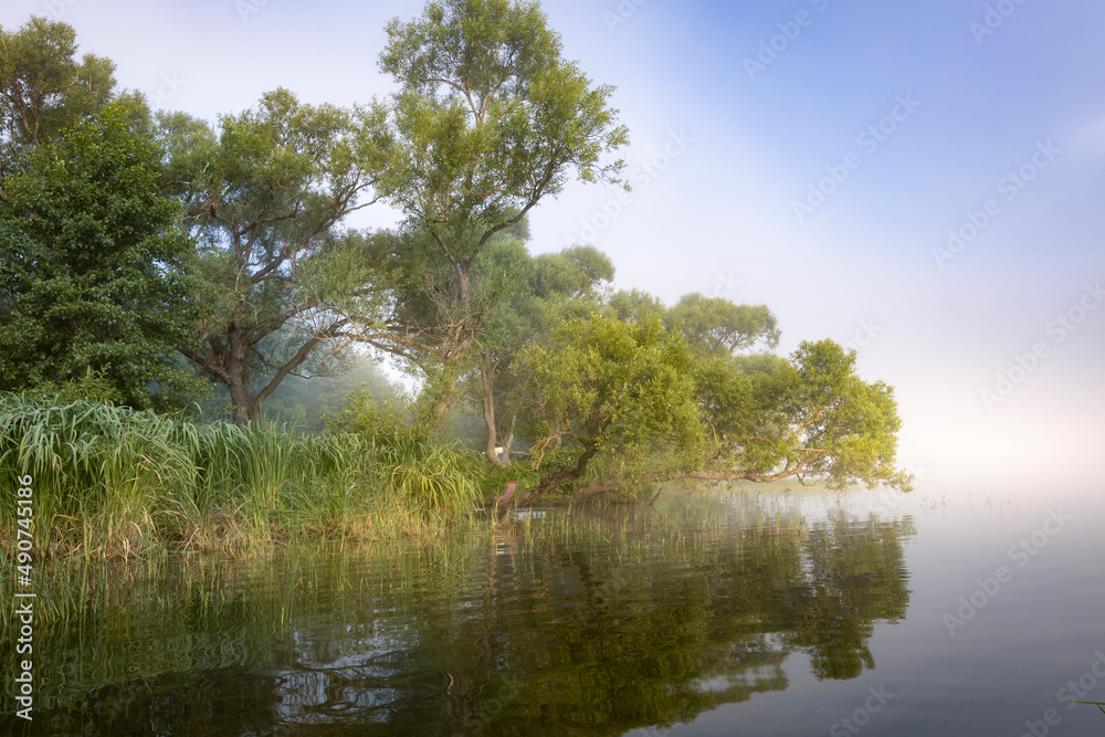 神秘的风景。清晨的河上有雾。水边的树木被照亮