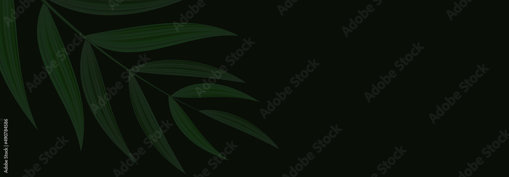 Natural Realistic Green Palm Leaf Tropical Background. illustration