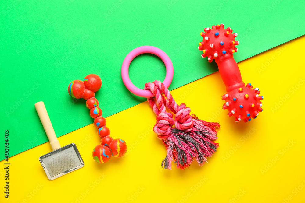 Pet toys and grooming brush on color background