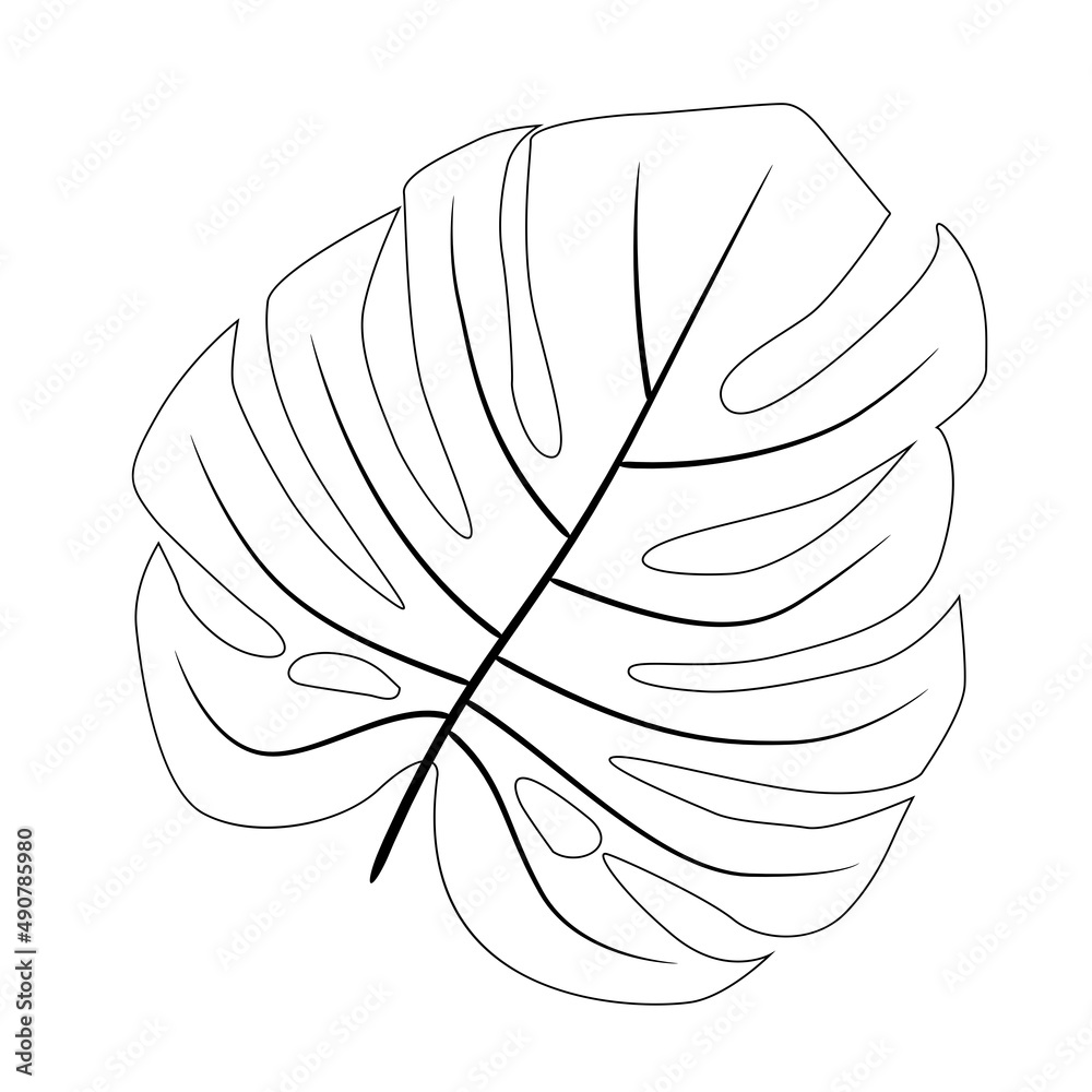 在白色背景上分离的梦蝶叶的黑色剪影。插图