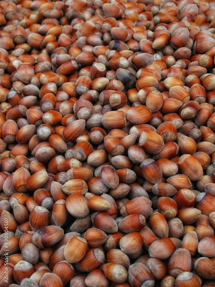 Acorns. Closeup image of a pile of acorns.