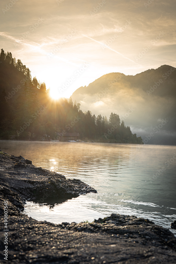 Beautiful view of a lake in a forest with large trees at sunset