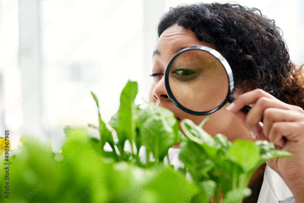 发现植物的多样性。一位女科学家通过ma观察植物的裁剪镜头