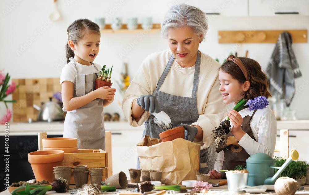 Granny and girls transplanting flowers at home