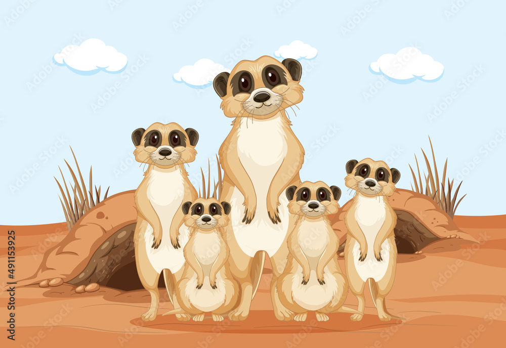 Group of cute meerkats Southern African animal