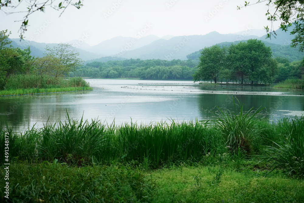 户外景观花园湖泊自然风光