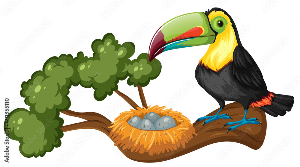 Toucan and bird nest on the branch