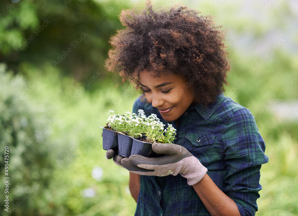 Time to get you in the ground. Shot of a happy young woman holding a tray of seedlings for the garde