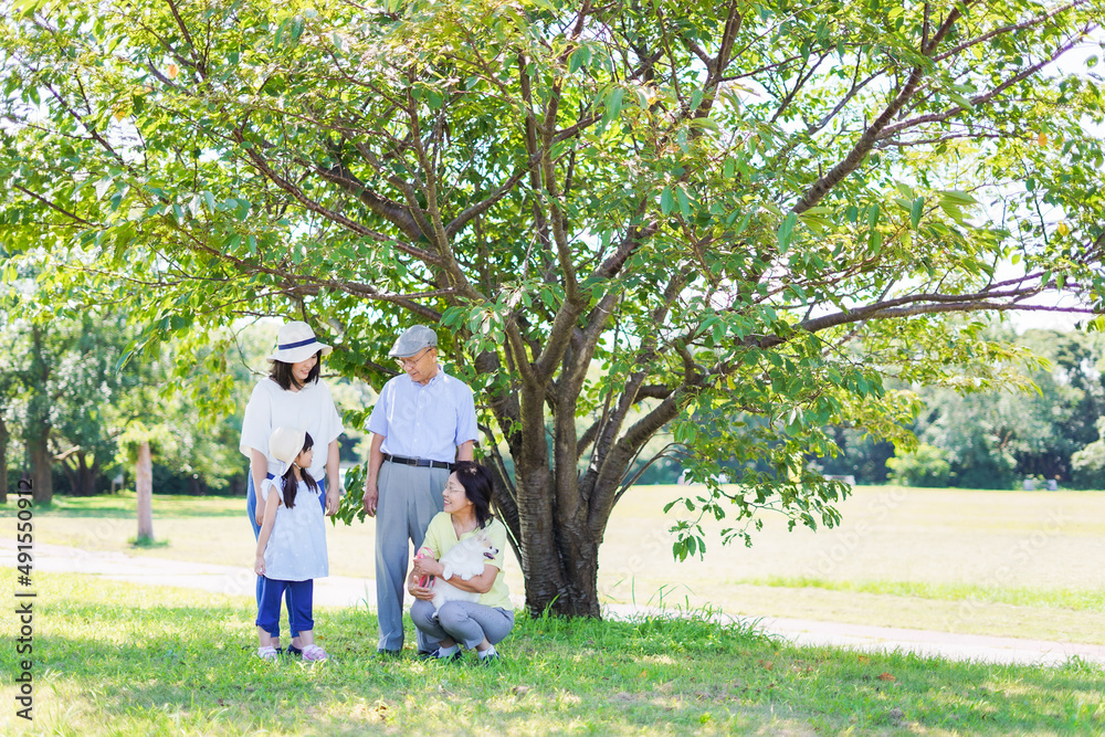 外で遊ぶ幸せな家族