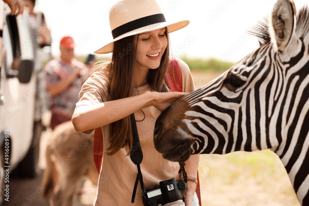 Female tourist with beautiful zebra in wildlife sanctuary