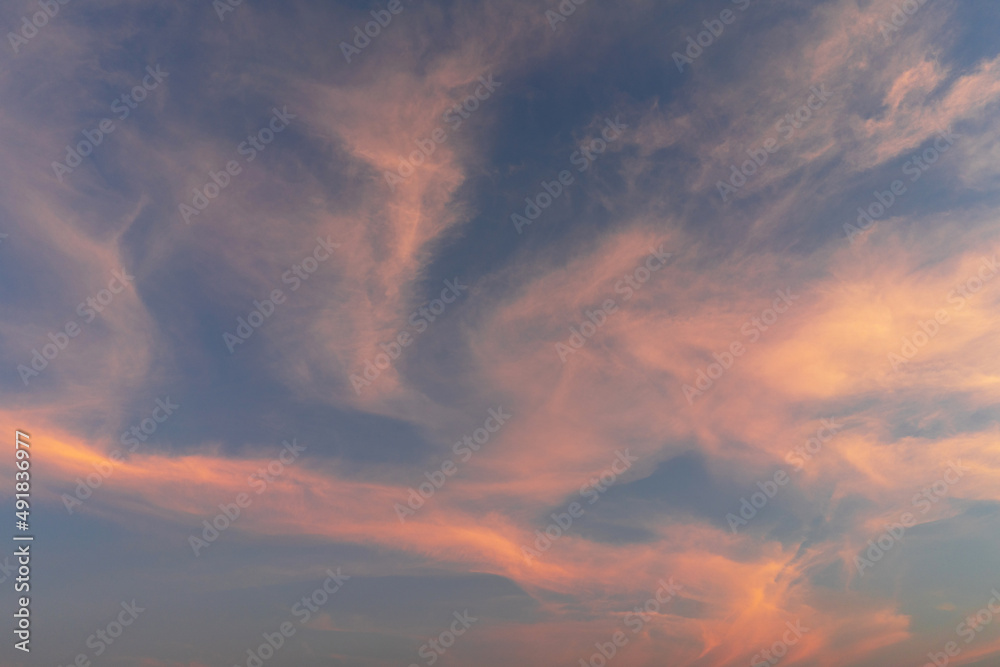 黄色天空背景，背景是微小的云，日落时美丽的多云微小