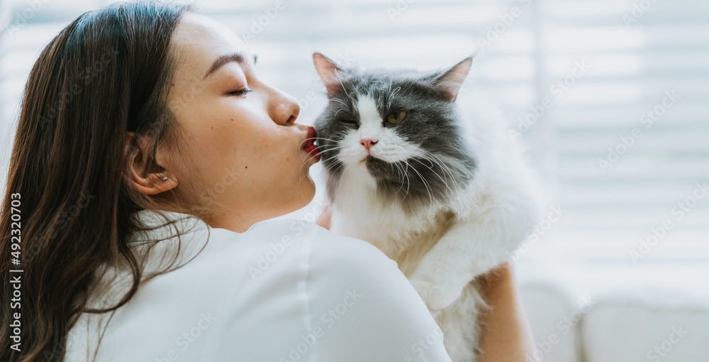 年轻的亚洲女人在家玩猫