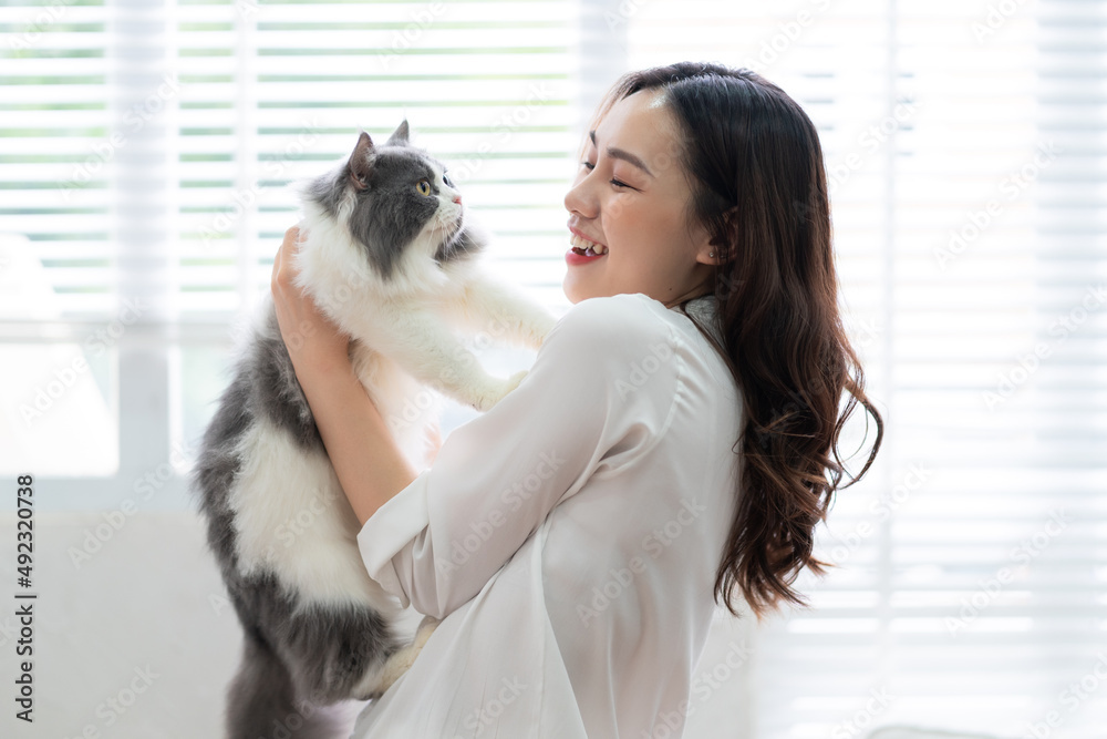 年轻的亚洲女人在家里玩猫