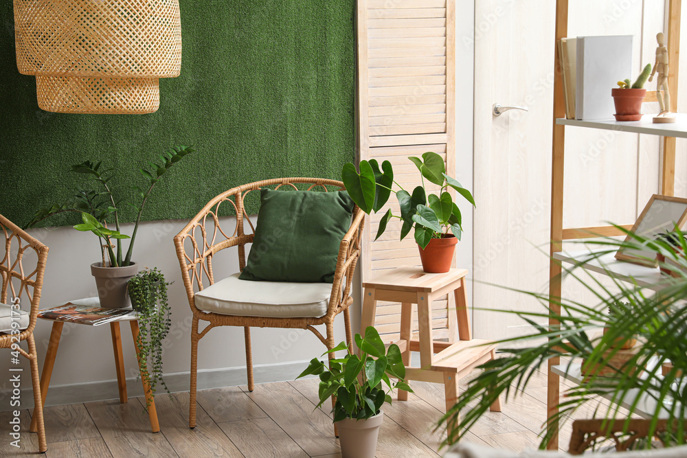 Interior of stylish living room with wicker chairs, step stool and houseplants