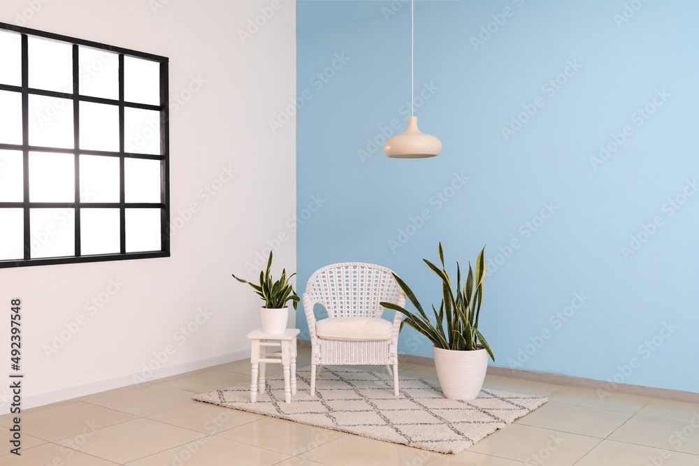 White armchair, table with houseplants and lamp hanging near blue wall