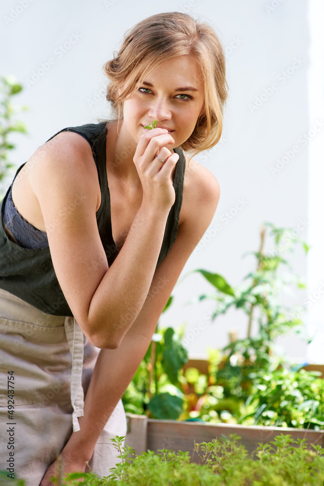 这些香草在我的下一道菜中会很完美。一个年轻的女人在花园里闻到香草的味道。