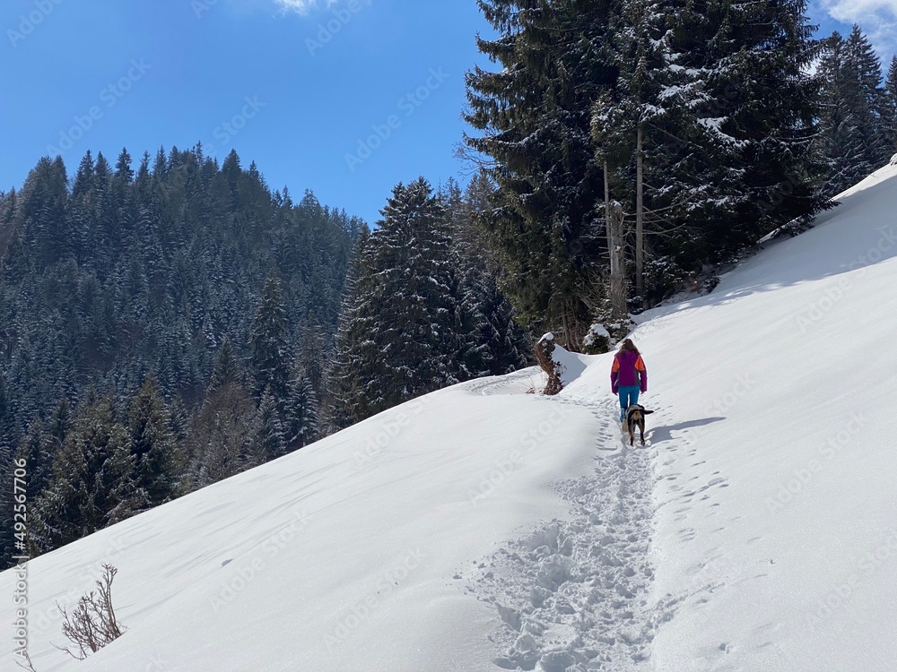 Hikers and walkers on the beautiful idyllic fresh snow on the slopes of the Alpstein mountain massif