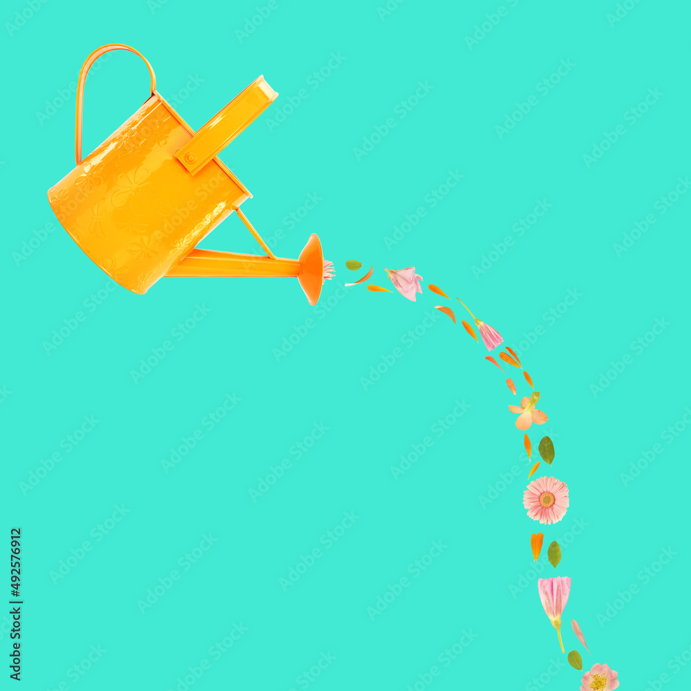 Lovely orange watering can with beautiful flowers isolated on square vivid pastel background. Floral