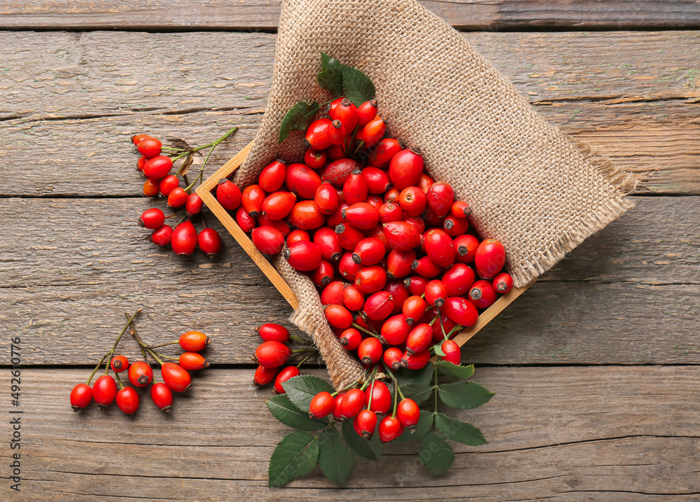 Box with fresh rose hip berries on wooden background