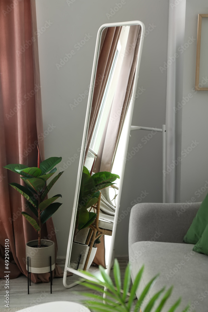 Mirror and houseplants near light wall in living room