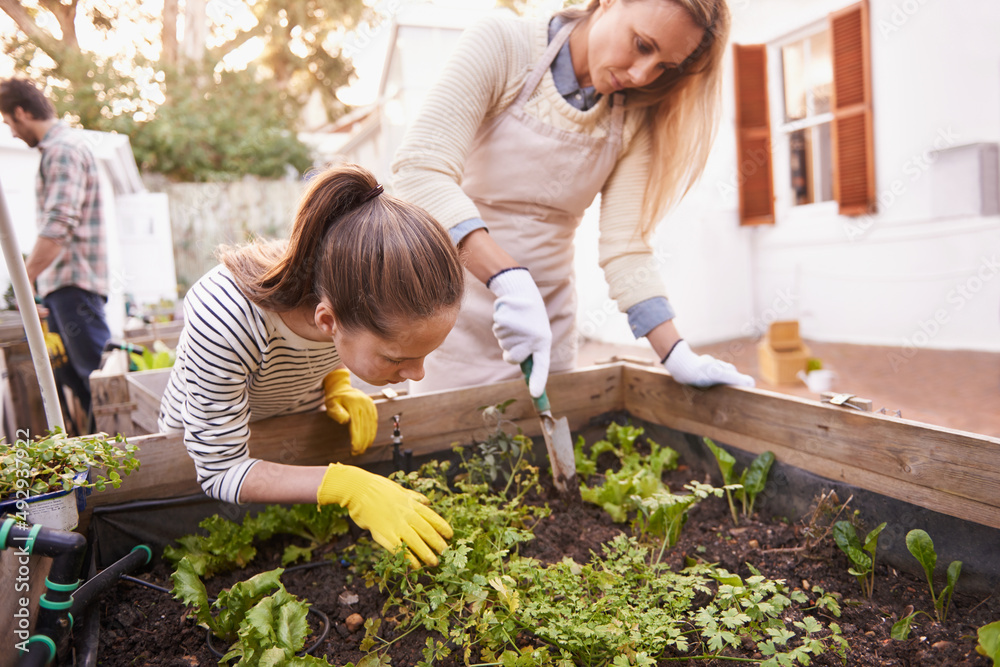 Shes a keen young gardener. Shot of a family gardening together in their backyard.