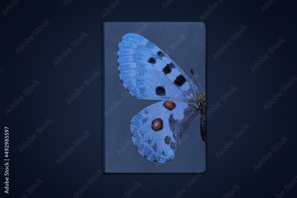 book cover with beautiful butterfly wings on the desk