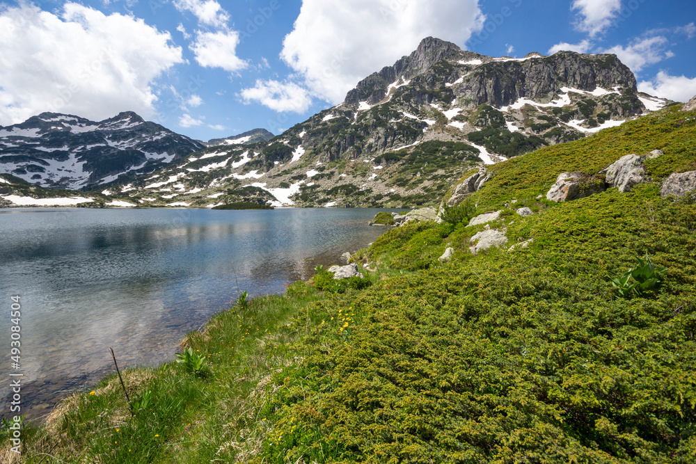 保加利亚波波沃湖附近皮林山的夏季景观