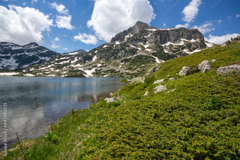 Summer Landscape of Pirin Mountain near Popovo Lake, Bulgaria