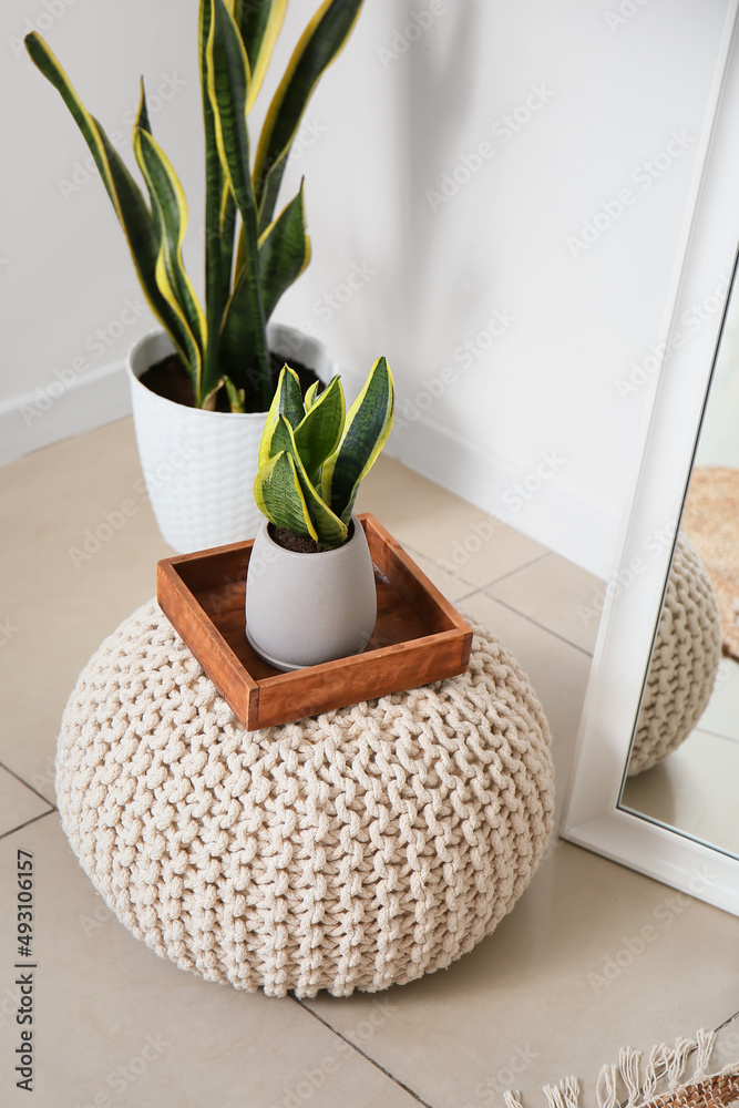 Stylish pouf with houseplants in living room