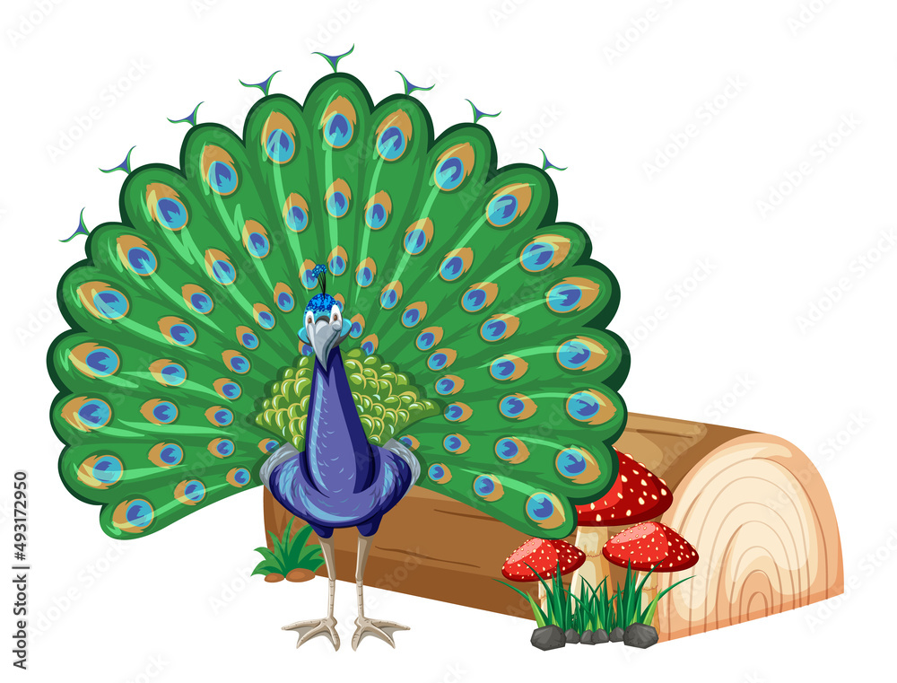 A peacock with nature element on white background