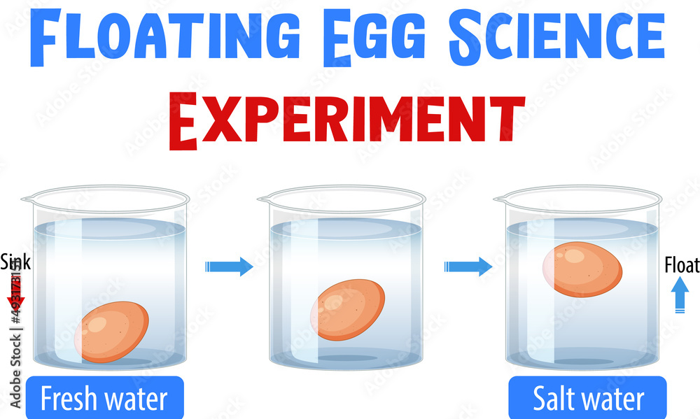 Diagram showing floating egg experiment